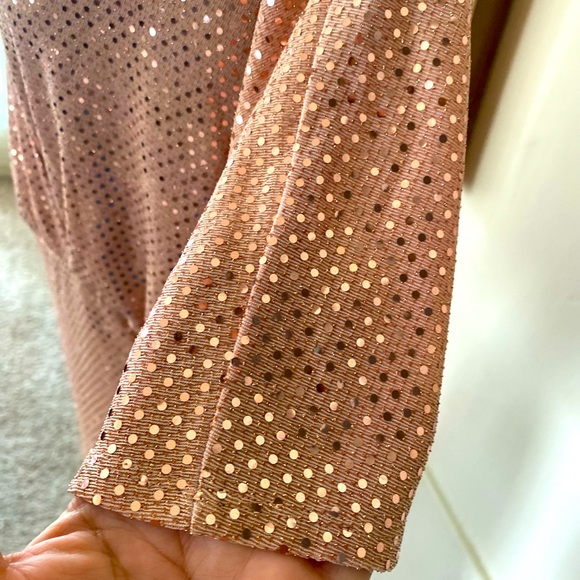 ALEX B NITES WOMAN ROSE GOLD SEQUIN  FORMAL DRESS PLUS SIZE 20W 🌟NWT🌟 - Picture 4 of 14